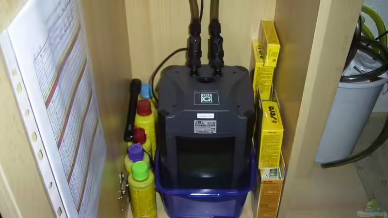 Dekoration im Aquarium Becken 3923 von Timo Lorenz (9)