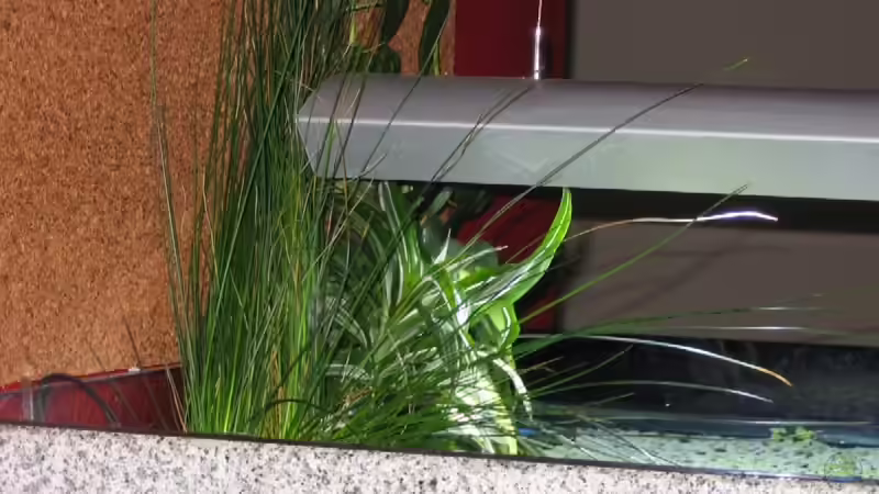 Dekoration im Aquarium Becken 3967 von Martina Schneider (6)