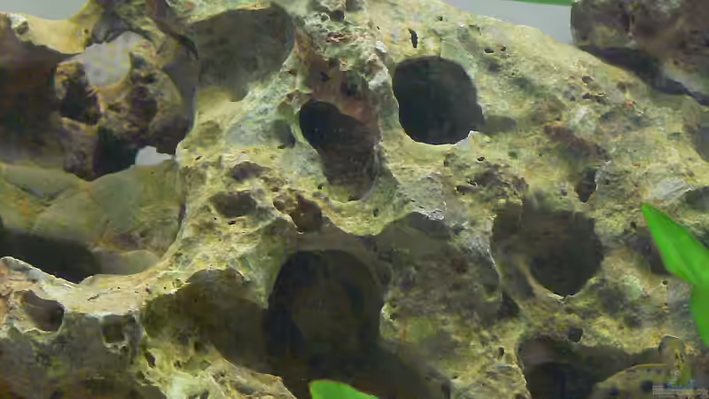 Dekoration im Aquarium Becken 4151 von Christian Klar (8)