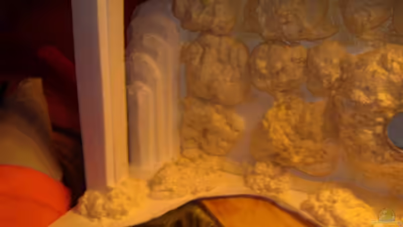 Dekoration im Aquarium Becken 422 nur noch Beispiel von Frank Hopp (15)