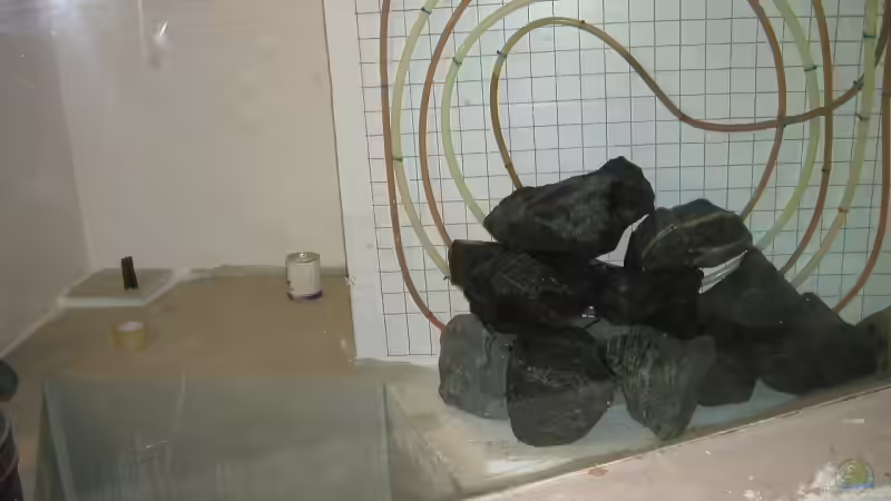 Dekoration im Aquarium Becken 4449 von Jan Krüger (12)