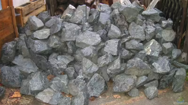 Dekoration im Aquarium Becken 4449 von Jan Krüger (13)