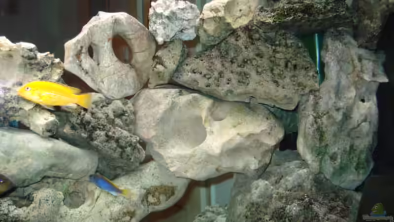 Dekoration im Aquarium Becken 4511 von Miki Öry (5)