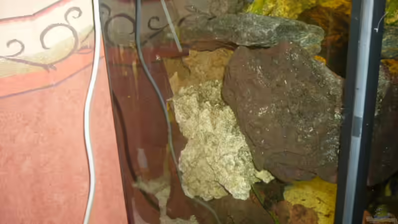 Dekoration im Aquarium Becken 4587 von Sascha Kath (11)