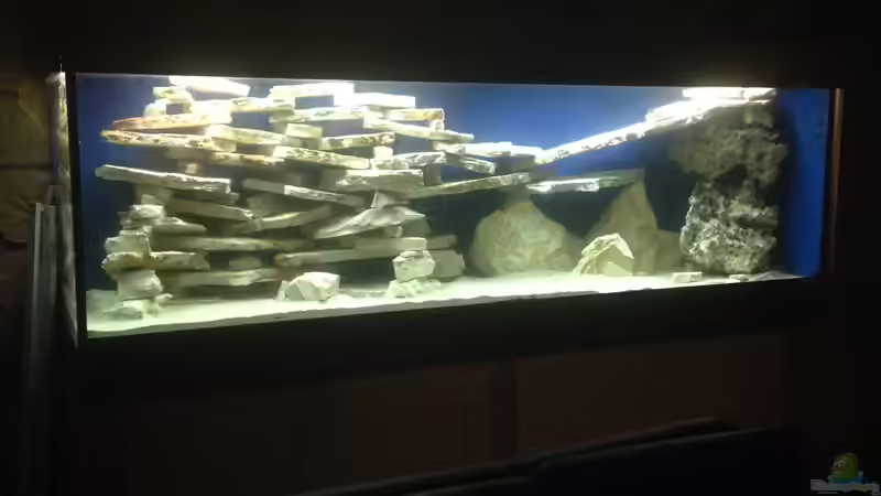 Dekoration im Aquarium Becken 4654 von Marko Geißler (2)