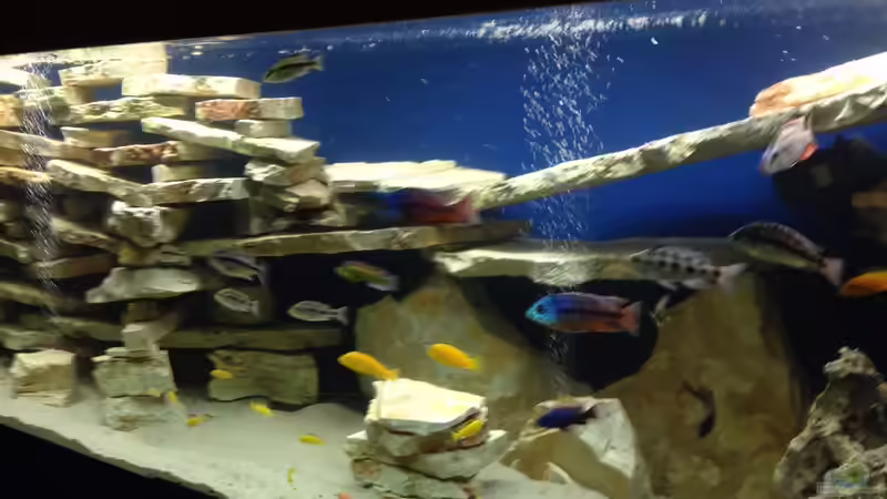 Dekoration im Aquarium Becken 4654 von Marko Geißler (4)