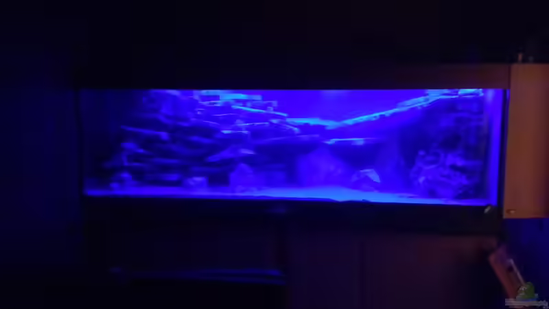 Dekoration im Aquarium Becken 4654 von Marko Geißler (5)