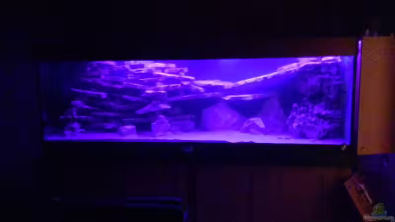 Dekoration im Aquarium Becken 4654 von Marko Geißler (6)