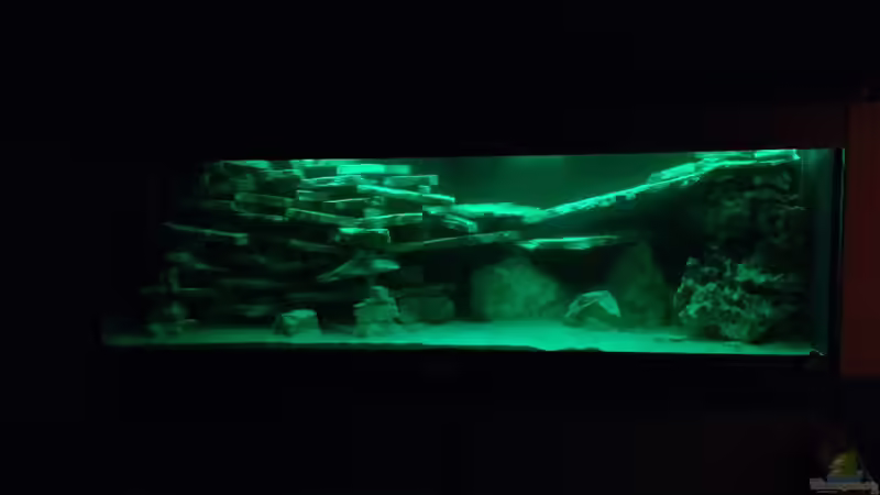 Dekoration im Aquarium Becken 4654 von Marko Geißler (7)