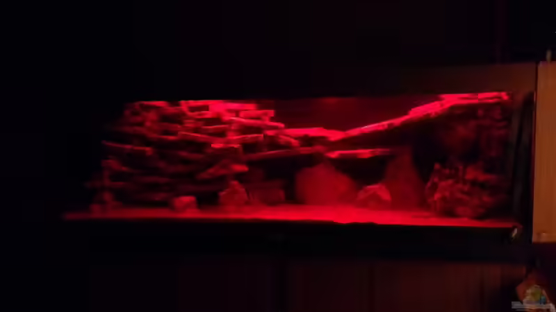 Dekoration im Aquarium Becken 4654 von Marko Geißler (8)