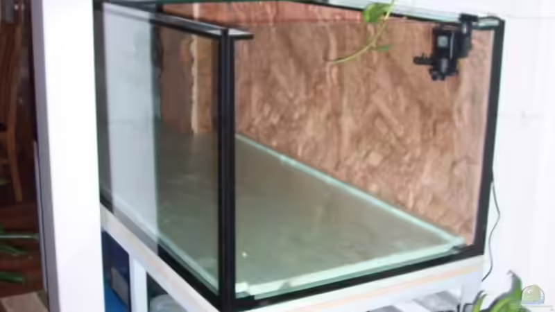 Dekoration im Aquarium Becken 4764 von Daniel Kurz (7)