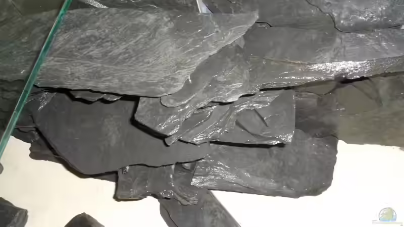 Dekoration im Aquarium Becken 4779 von Marc Weise Manuela Schmidt & (6)