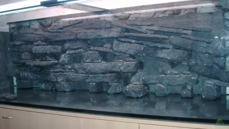 Dekoration im Aquarium Becken 4916 von Olli% (5)