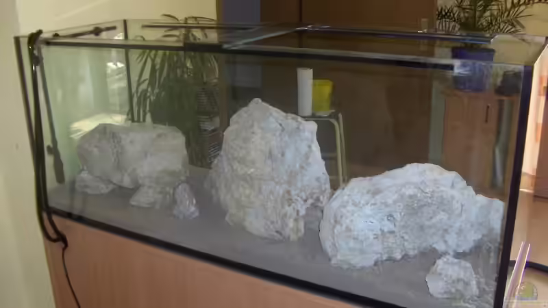 Dekoration im Aquarium Becken 5049 von KevP79 (10)