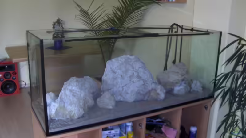 Dekoration im Aquarium Becken 5049 von KevP79 (11)