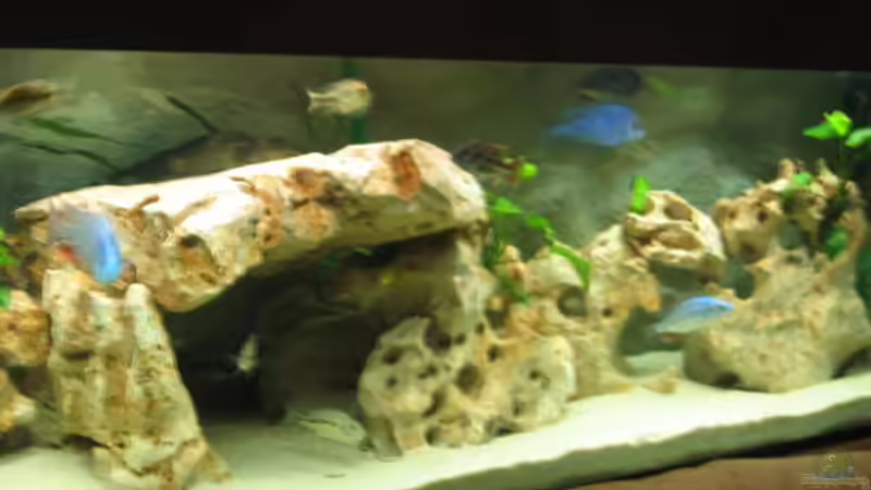 Dekoration im Aquarium Becken 5165 von Thomas Leeb (5)