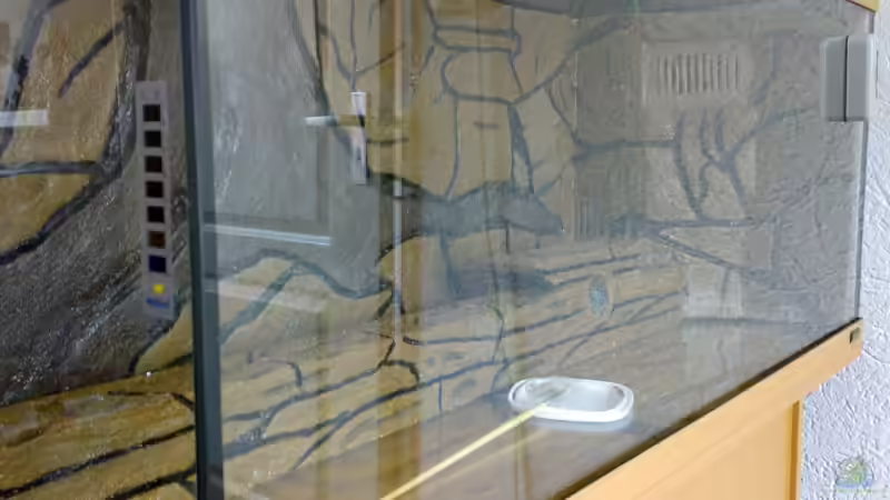 Dekoration im Aquarium Becken 5395 von Gerwin Jansen (10)