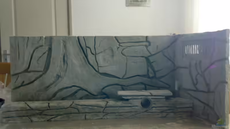 Dekoration im Aquarium Becken 5395 von Gerwin Jansen (7)