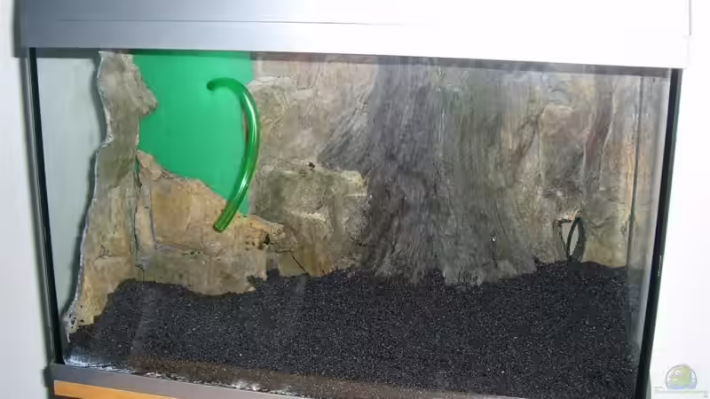 Dekoration im Aquarium Becken 5728 von PolenPete (4)