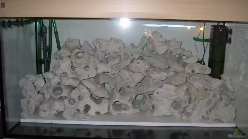 Dekoration im Aquarium Becken 5784 von Qthree (7)