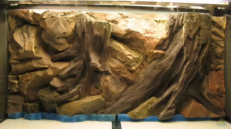 Dekoration im Aquarium Becken 5931 von Thorsten Makoschey (11)