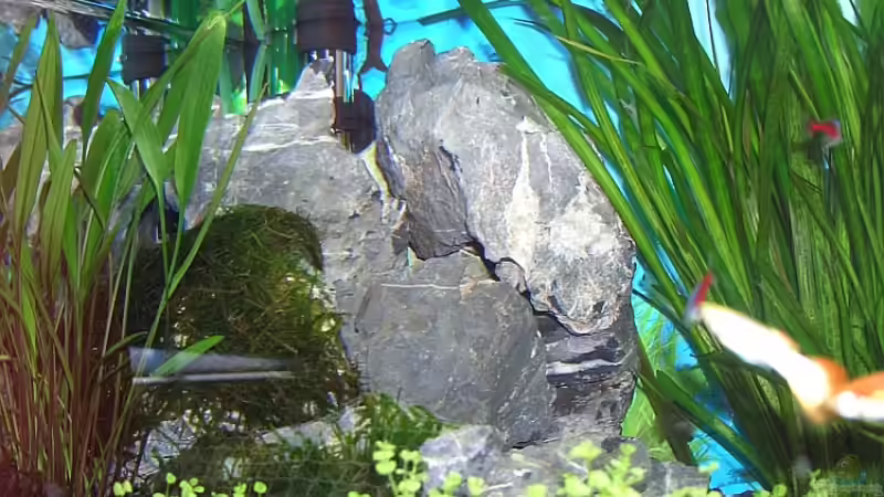 Dekoration im Aquarium Becken 6066 von Jonas Stephan (9)