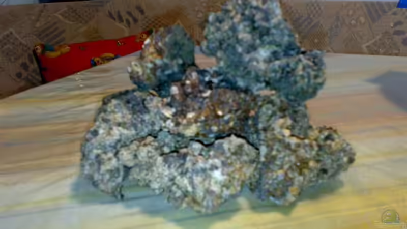 Dekoration im Aquarium Becken 6213 von nelchen (5)