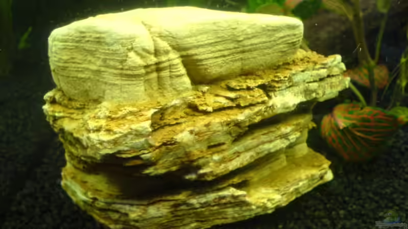 Dekoration im Aquarium Becken 6233 von Cathrin Krause (14)