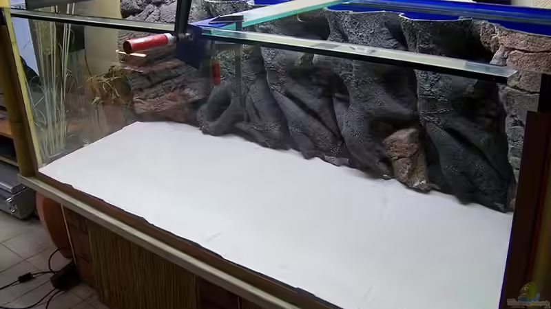 Dekoration im Aquarium Becken 650 von Sandro Di Giandomenico (17)