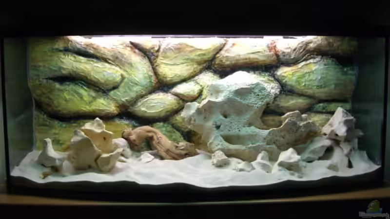 Dekoration im Aquarium Becken 7007 von hundetatwaffe (8)