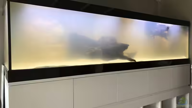 Dekoration im Aquarium Becken 706 von Christian Quint (4)