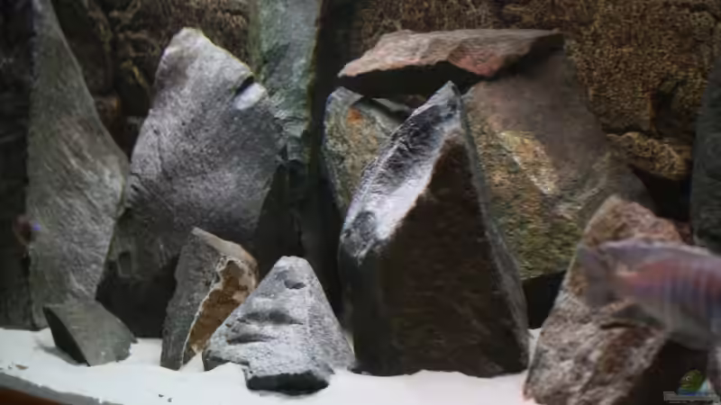 Dekoration im Aquarium Becken 7121 von Applehorsti (27)