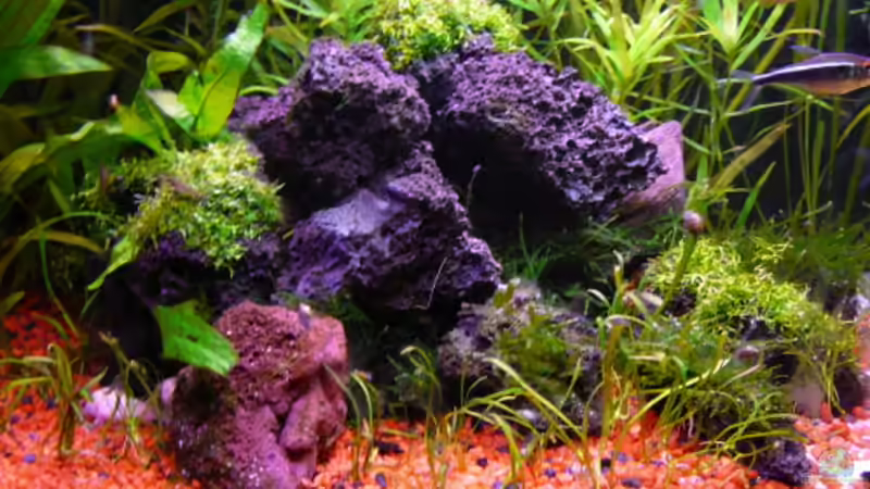 Dekoration im Aquarium Becken 7171 von s-chiller- (5)