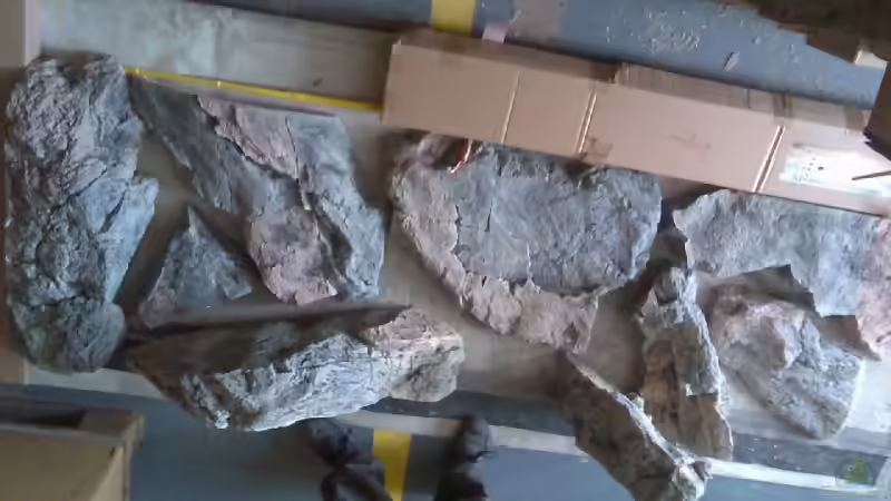 Dekoration im Aquarium Becken 7736 von Crenii (17)