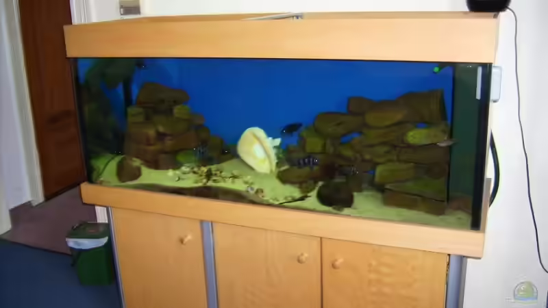 Dekoration im Aquarium Becken 7791 von Tobias Kersting (4)