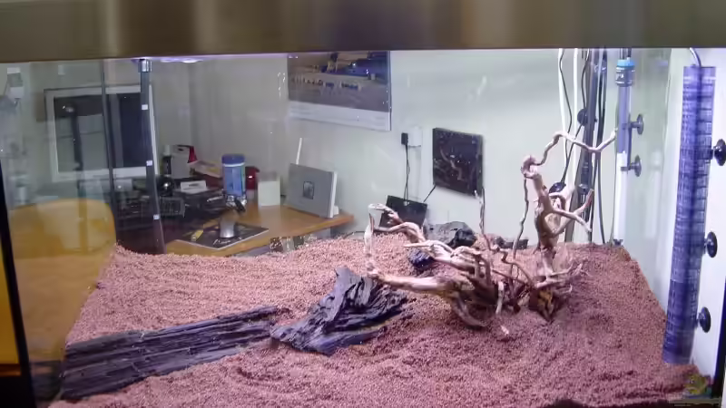 Dekoration im Aquarium Becken 8249 von Reinhard (13)