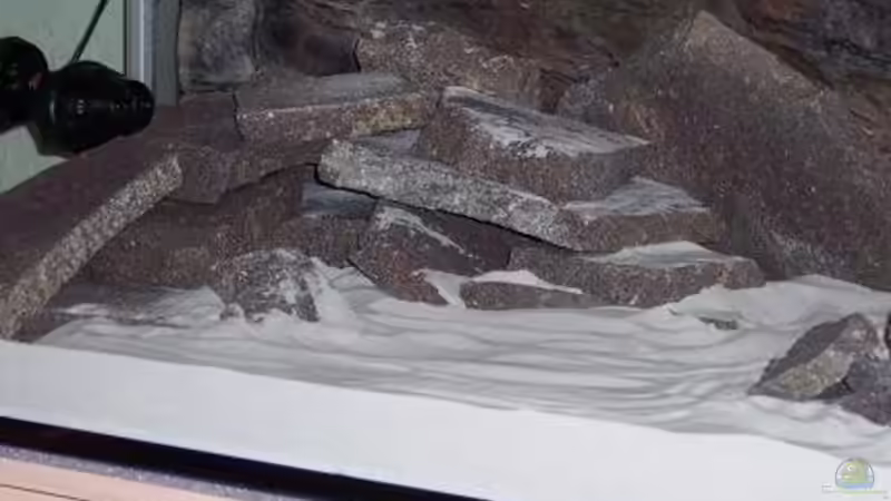 Dekoration im Aquarium Becken 8330 von cichliden-aquarium.de (5)