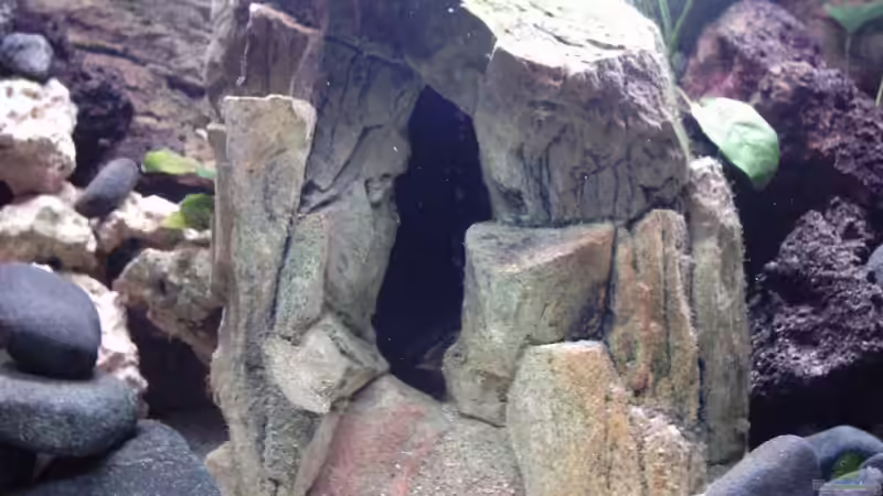 Dekoration im Aquarium Becken 8920 von Aquawater (5)