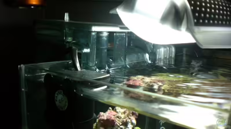 Dekoration im Aquarium Becken 8937 von rot08 (3)