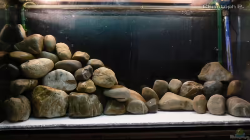 Dekoration im Aquarium Becken 8939 von gruengold (9)