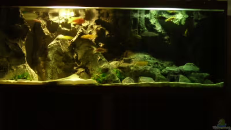 Dekoration im Aquarium Becken 9037 von MDenzer (10)