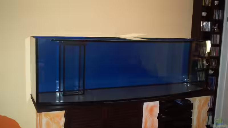 Dekoration im Aquarium Becken 9800 von Sveni (21)