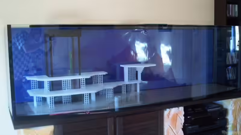 Dekoration im Aquarium Becken 9800 von Sveni (22)