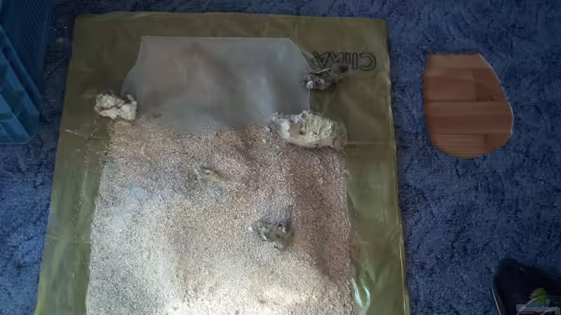 Dekoration im Aquarium Becken 9800 von Sveni (24)