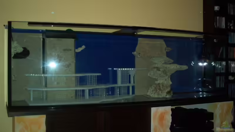 Dekoration im Aquarium Becken 9800 von Sveni (26)