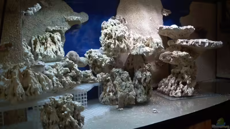 Dekoration im Aquarium Becken 9800 von Sveni (28)