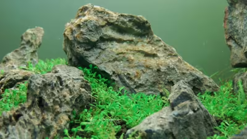 Dekoration im Aquarium Berge im Glaskasten von Kuro-Schio (6)