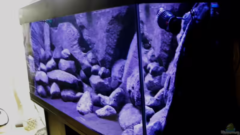 Dekoration im Aquarium BLACK ROCK von LaEy (12)