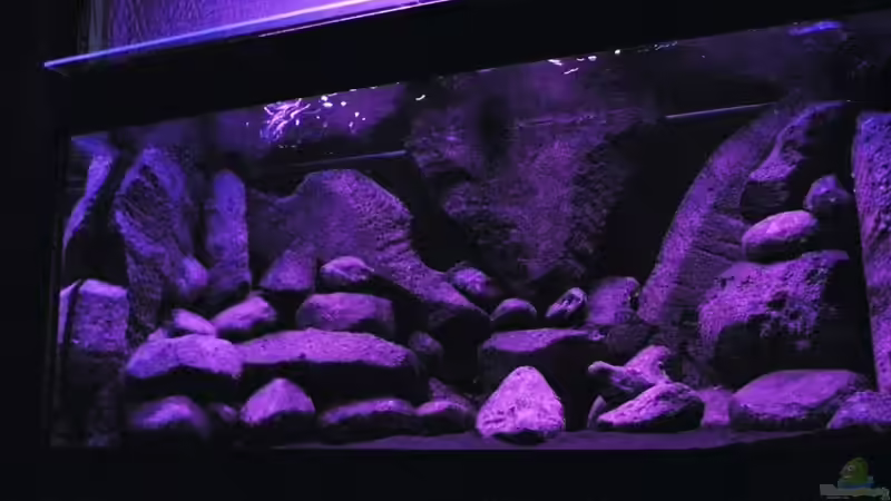 Dekoration im Aquarium BLACK ROCK von LaEy (15)