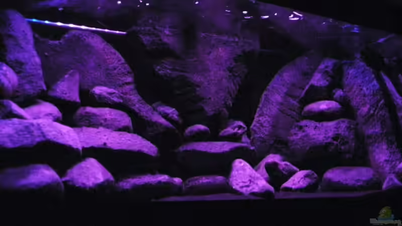 Dekoration im Aquarium BLACK ROCK von LaEy (16)